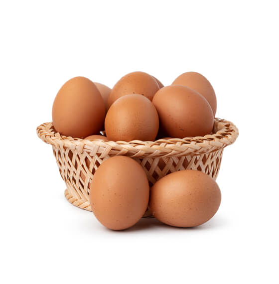GFC - Partenaire des Éleveurs & Fournisseur de Poulet de Qualité