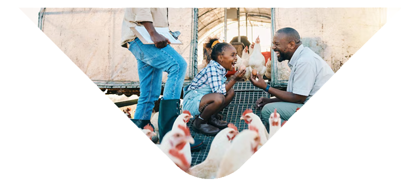 why-choose-one-img-1