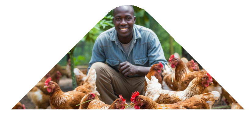 why-choose-one-img-2