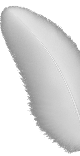 why-choose-one-shape-1-2