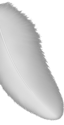 why-choose-one-shape-1-2